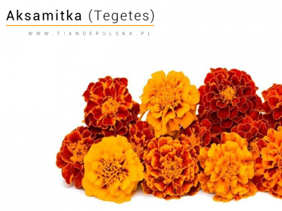 aksamtika-w-kosmetyce-skladnik-aktywny-tiande.png