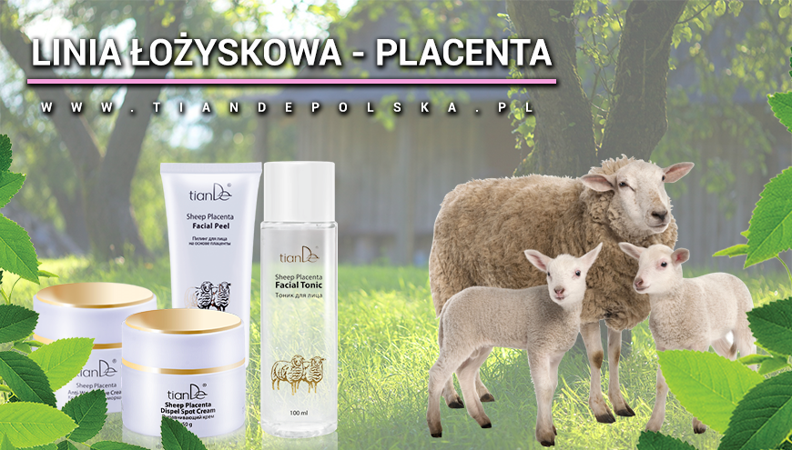 tiande-placenta.png