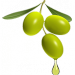 Oliwka