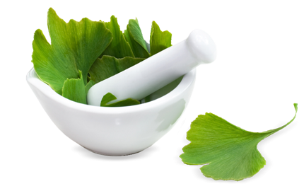 Kosmetyki z Ginkgo Biloba (miłorząb japoński)