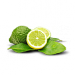 Bergamotka