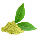Zielona herbata