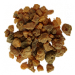 Commiphora myrrha