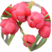 Przęśl Dwukłosowa
