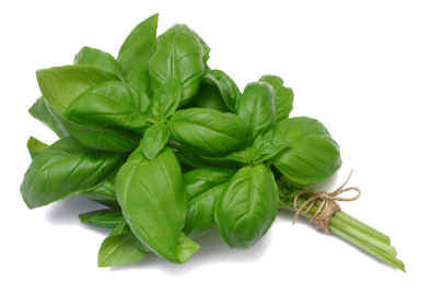 Produkty z bazylią