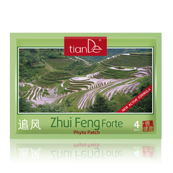 Zdrowie Ziołowy plaster do ciała ,,Zhui Feng Forte''